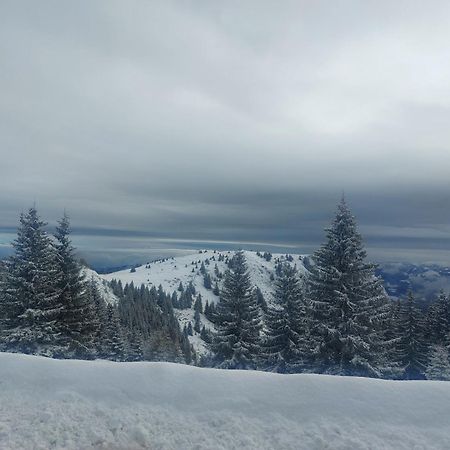 Apartman Milly Kopaonik Bagian luar foto