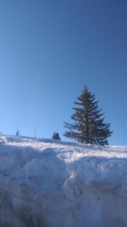 Apartman Milly Kopaonik Bagian luar foto