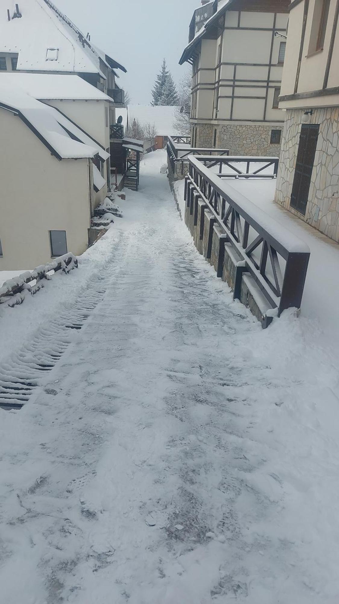 Apartman Milly Kopaonik Bagian luar foto