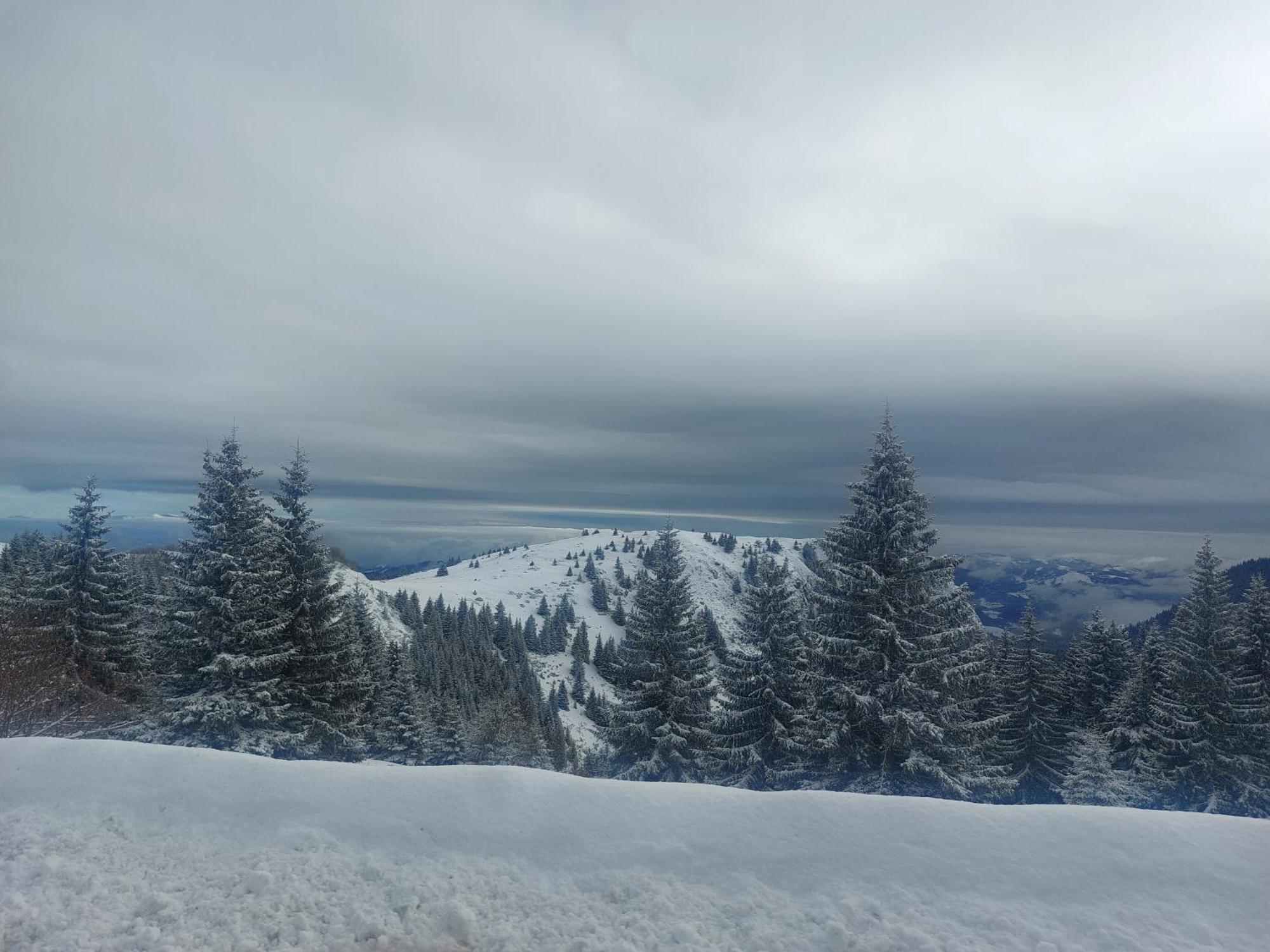 Apartman Milly Kopaonik Bagian luar foto